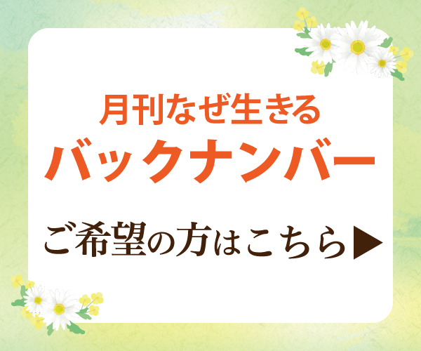 バックナンバー